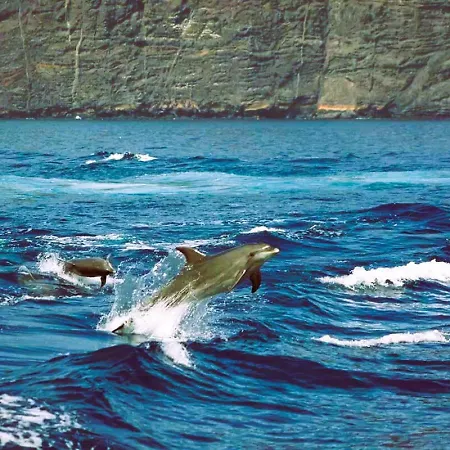 Apartman Ocean Wave Gigantes - 2 Pools & Stunning Ocean Views